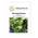 Brunnenkresse-Samen von Bobby-Seeds