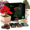 Bonsai Starter Kit von BonPrime