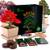 Bonprime Bonsai Starter Kit