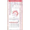 ECG-Ruler Pocketcard von Börm Bruckmeier Verlag
