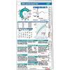 EKG-Lineal-Set von Börm Bruckmeier Verlag