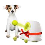 Bot Ballwurfmaschine Ifetch Mini