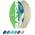 Skimboard Gator von BPS