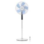 Brandson 722306535722 ECO Green