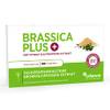 Brassica PLUS von Cellavent Healthcare