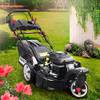 BRB-RM-21224 TRIKE von Brast