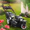 BRB-RM-21224 TRIKE von Brast