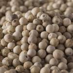 Bremer Gewürzhandel Weißer Pfeffer