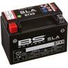 SLA 300674 BTX9 von BS Battery