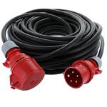 BTFC CEE-Verlängerung