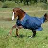 Irish Turnout Klassisch von Bucas