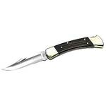 Buck Folding Hunter 110