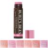 792850894624 von Burt's Bees