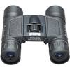 131225 Powerview von Bushnell