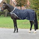 Busse Führanlagendecke WALKING 100
