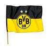 14134100 von Borussia Dortmund