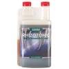 Rhizotonic von Canna