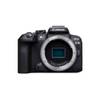EOS R10 von Canon