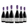 Lambrusco Scuro Amabile Emilia von Cantina Castelli Modenesi
