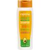 Avocado Hydrating Shampoo Avocado Oil & Shea Butter von Cantu