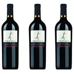 Capi.Vini GbR Indio Montepulciano d' Abruzzo