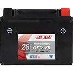 Cartec 11075