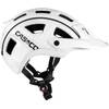 1307 von Casco