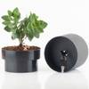 Blumentopf von Castell Deco