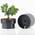 Blumentopf von Castell Deco