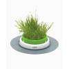 Grass Planter von catit