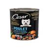 426499 von Cesar