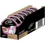 Cesar Hundefutter Junior