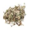 Sphagnum-Moos von Chifans