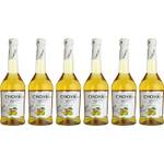 Choya Silver japanischer Pflaumenwein