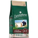 Christopherus 302148