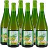 Brut Apfelwein von Cidrerie Anneville