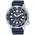 Eco-Drive BN0151-17L von Citizen
