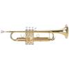 TR-30L von Classic Cantabile