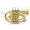 TT-500 von Classic Cantabile