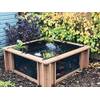 Lotus  von Clear View Garden Aquarium