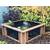 Clear View Garden Aquarium Lotus 