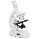 Clementoni 69804 - Natur unter dem Mikroskop