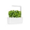 Smart Garden 3 von Click and Grow