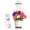 Mini Smart Planter Kit von Click and Grow
