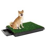 Coldshine ‎ZE-6164