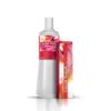 Color Touch von Wella