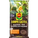 Compo Cactea 11221