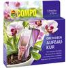 Orchideen-Aufbaukur von Compo