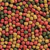Fischfutter Koifutter Allround Mix von Coppens