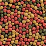 Coppens Fischfutter Koifutter Allround Mix